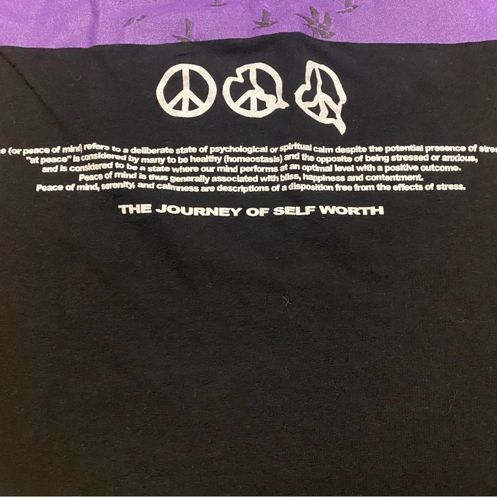 PacSun Men’s Graphic T-Shirt Peace Now Size Medium - Picture 8 of 8